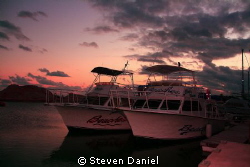 Dive Boats Moored by Steven Daniel 